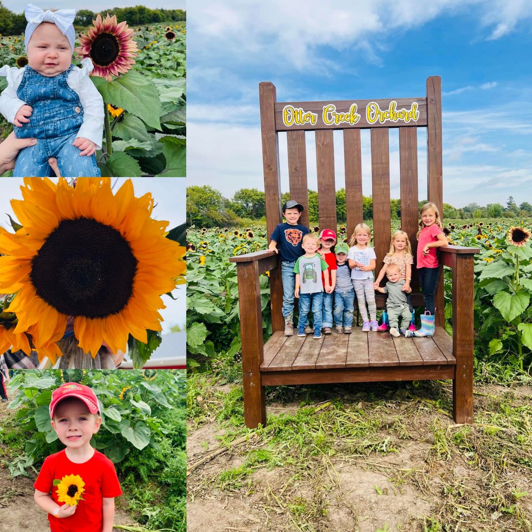 Otter Creek Orchard