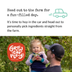 Apples on the Avenue - Apple Picking!