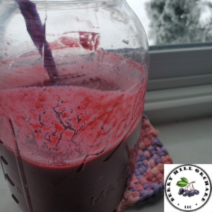 Chocolate Aronia Smoothies from Berry Hill Orchard LLC