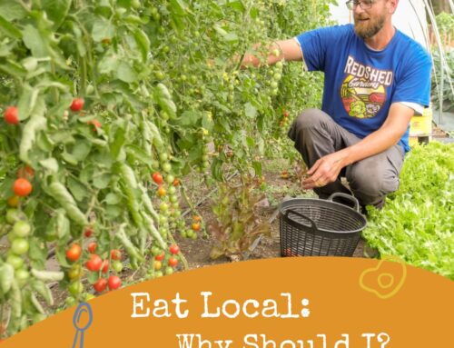 Eat Local: Why Should I?
