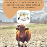 Field Day: Organic Grains & Direct Market Meats with Kollasch Family Farm