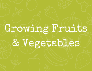 Fruits & Veggies